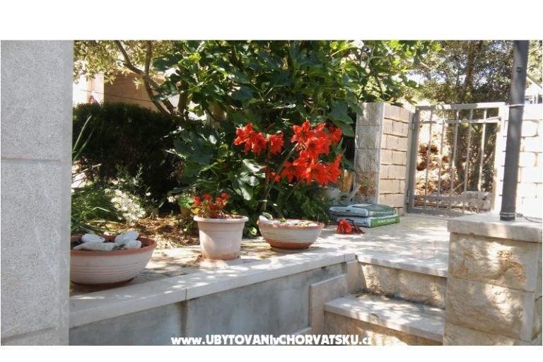Apartments Nikola – photo 5