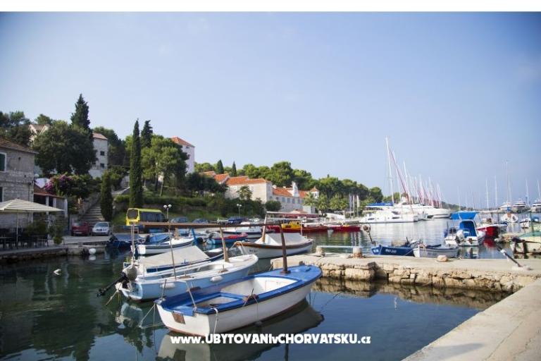 Apartments Oli – photo 17