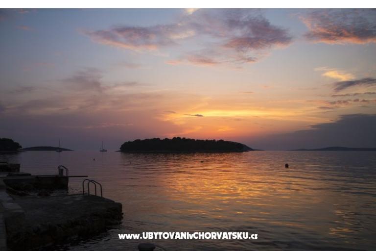 Apartments Oli – photo 18