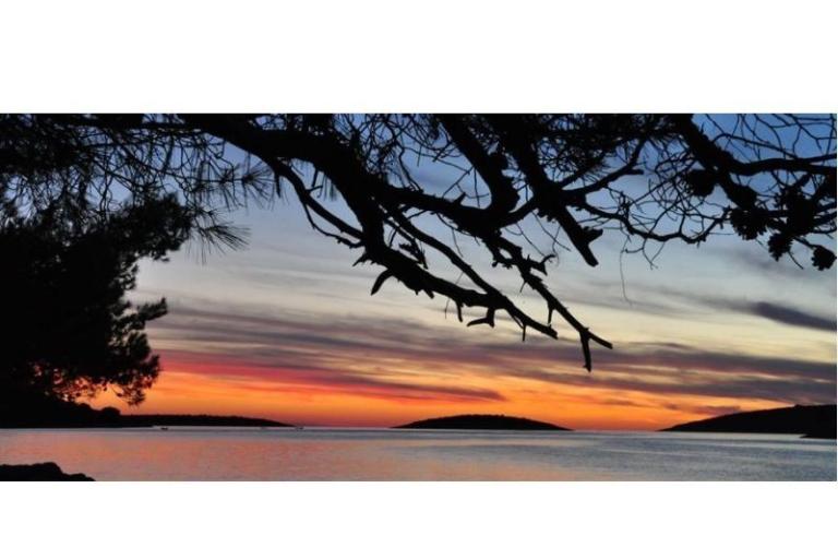 Apartments Oliva - Otok Šolta – photo 11