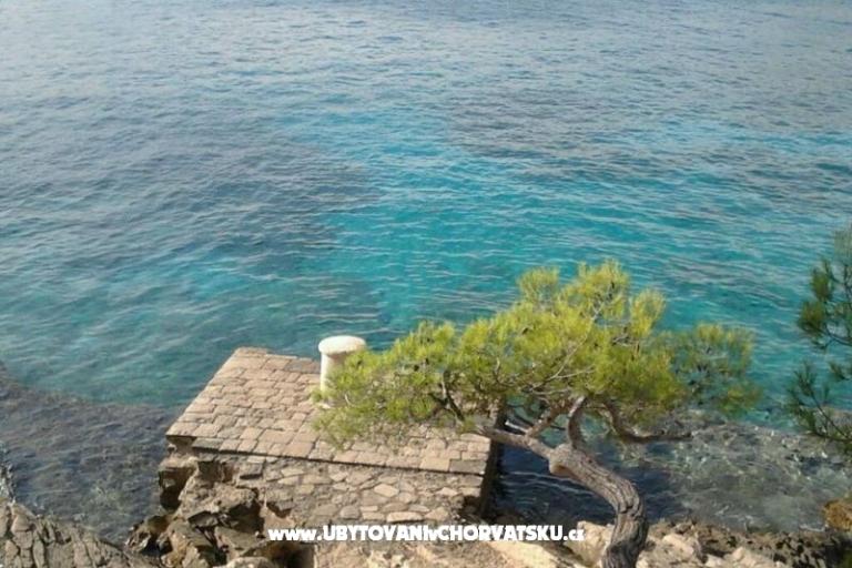 Apartments Oliva - Otok Šolta – photo 12