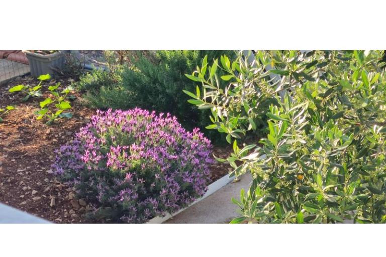 Apartments Tiha – photo 22