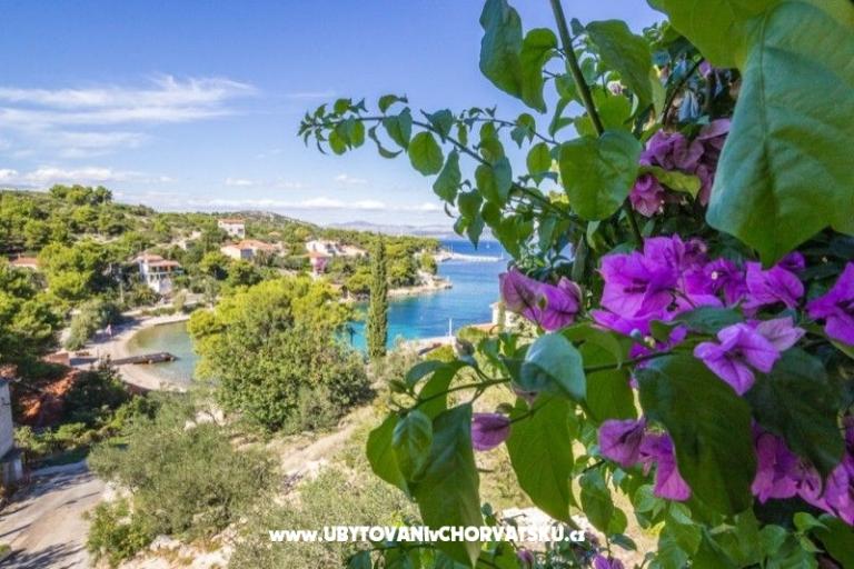 Apartments Solta – photo 15