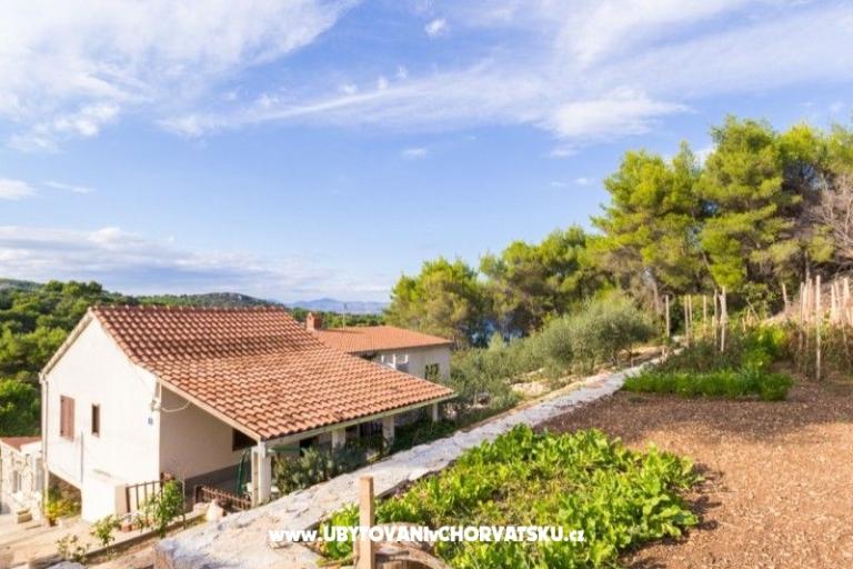 Apartments Solta – photo 16