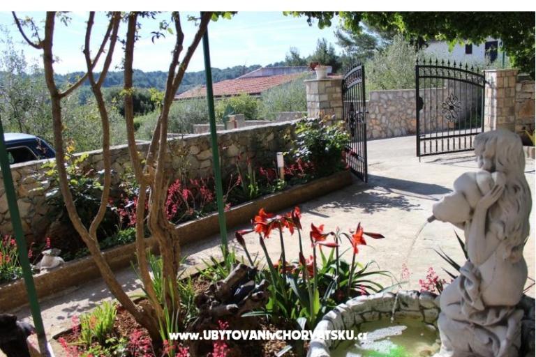 Apartments Solta – photo 18