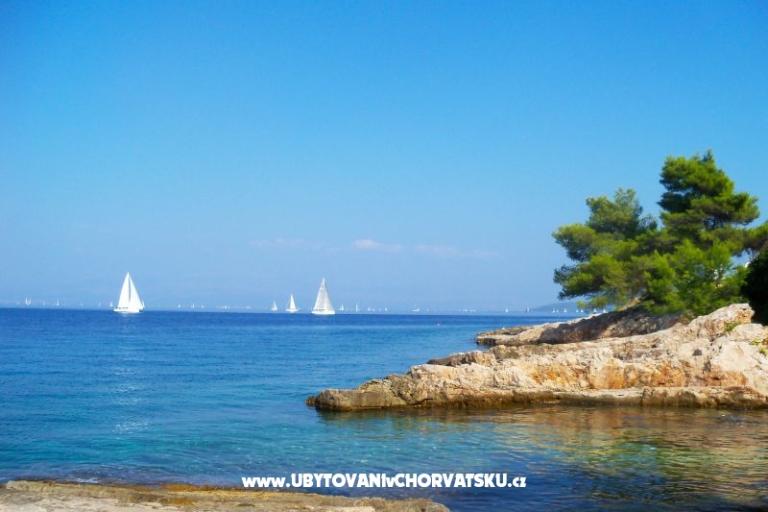 Apartments Mario – photo 11