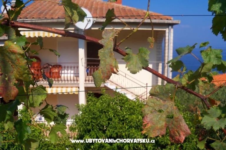 Apartments Mario – photo 5