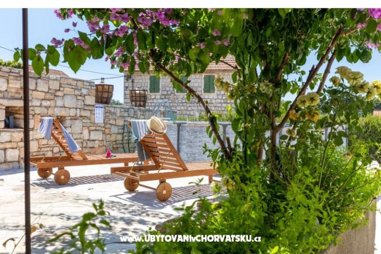 Hacienda Dora – photo 2