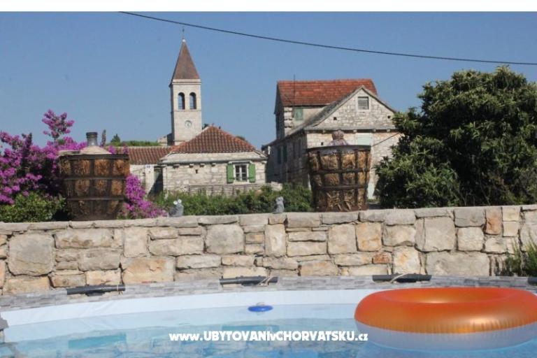 Hacienda Dora – photo 33