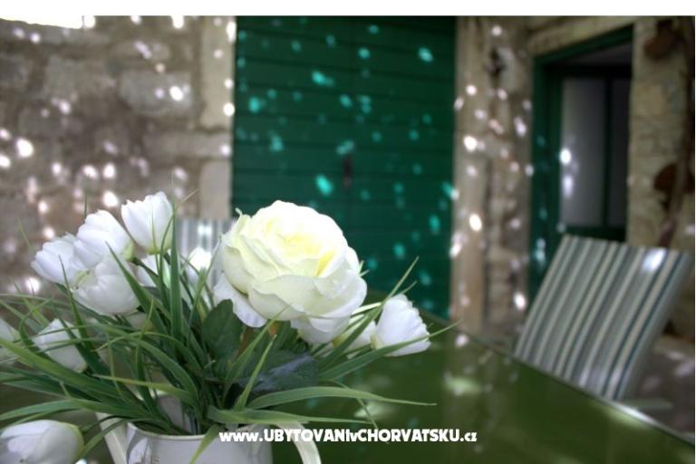 Hacienda Dora – photo 45