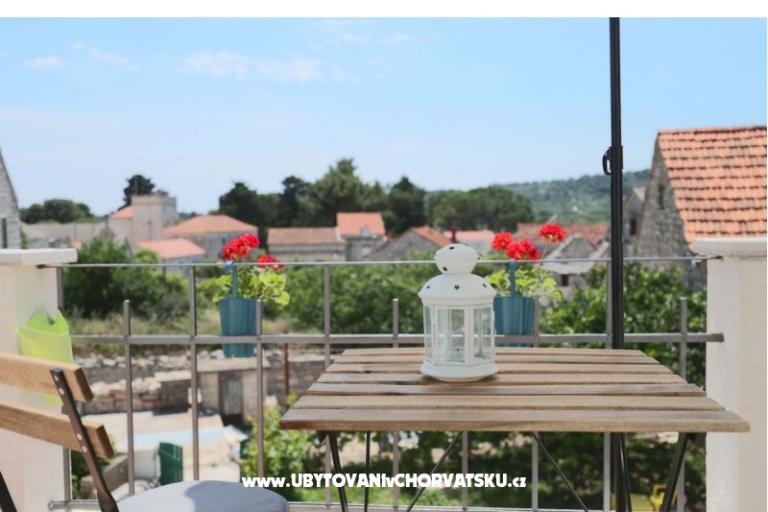 Hacienda Dora – photo 48