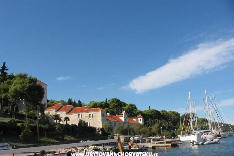 Apartments Oliva  – photo 12
