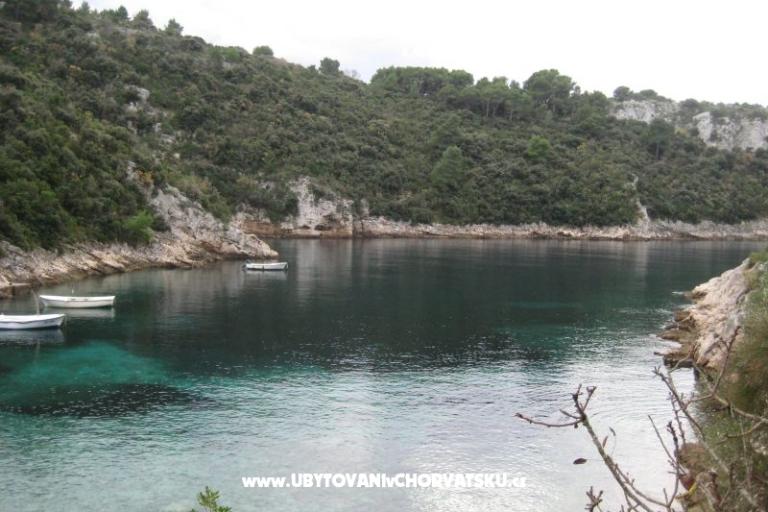 Villa Marija – photo 5