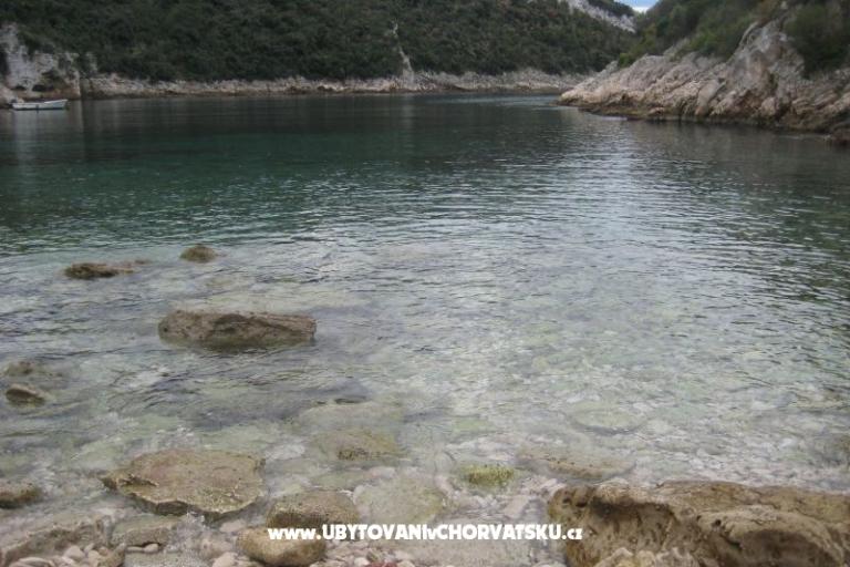 Villa Marija – photo 6