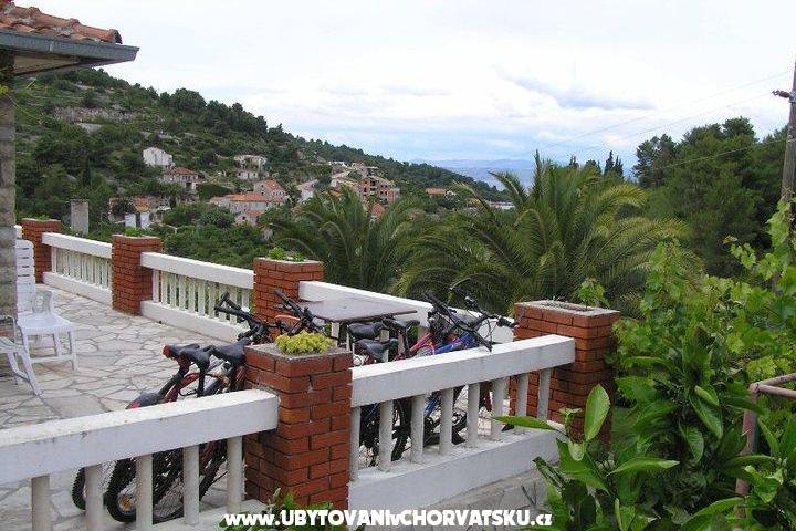 Villa Palmira – photo 7