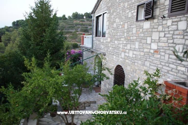 Villa Palmira – photo 8