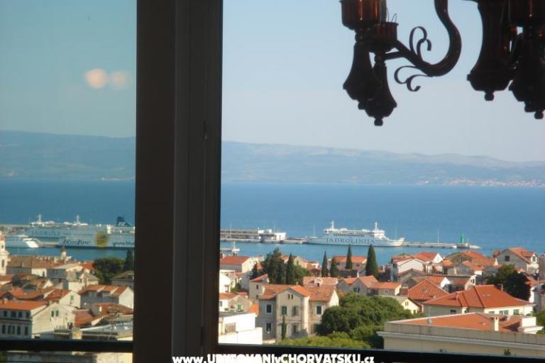 Akvarelaria – photo 11