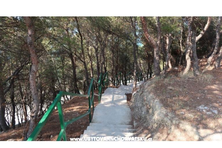 Anamarija – photo 12