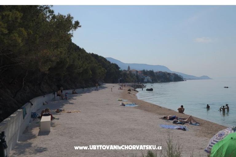 Anamarija – photo 16