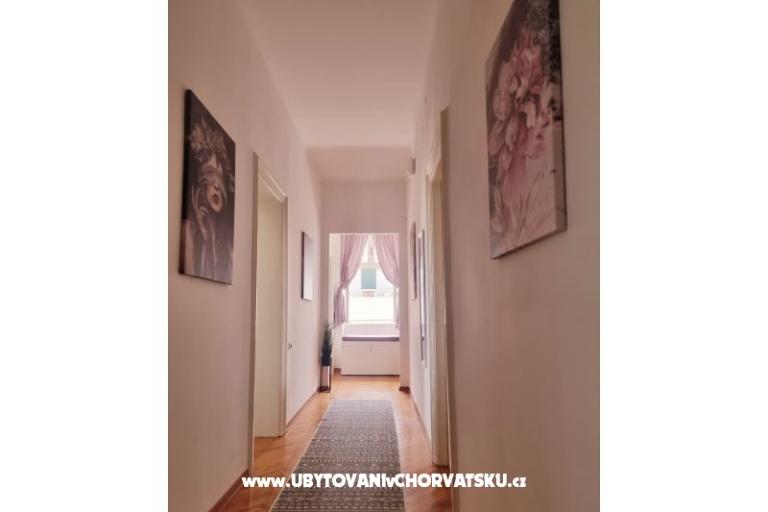 Apartments Martini and Arch Bacvice – photo 8
