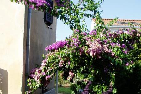 Apartment Nevica – photo 16