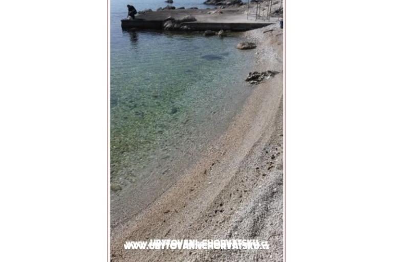apartman  – photo 4