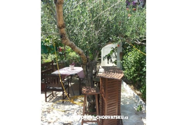 Apartments SILVA /                  – photo 12