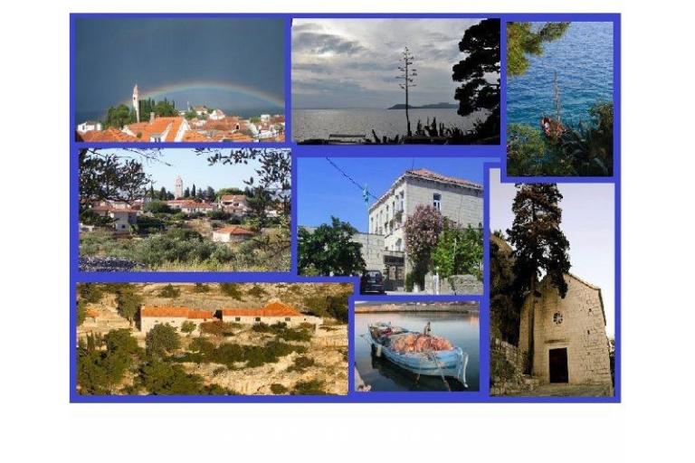 Apartments SILVA /                  – photo 17