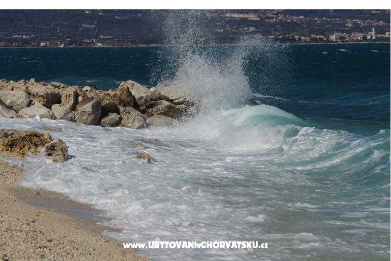 Big Blue – photo 6