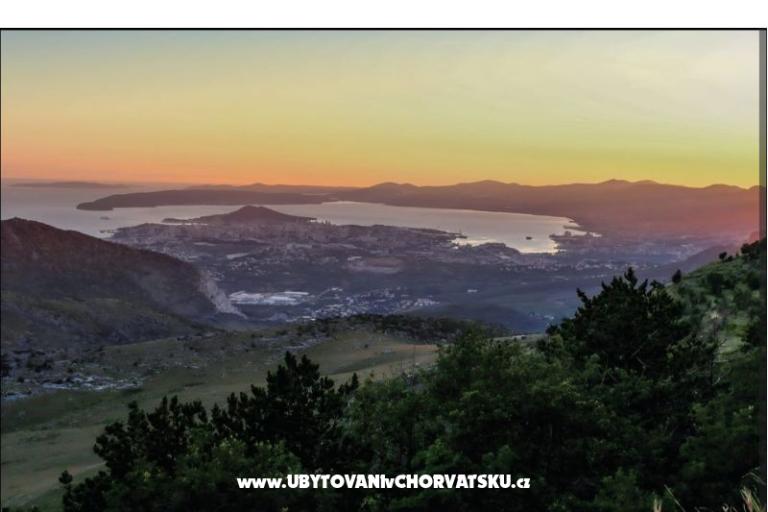 Green paradise  – photo 51