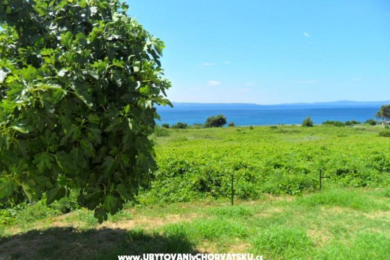 Summerhouse Belomo – photo 3