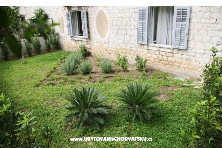 Luxury apartments Magnolia – photo 11