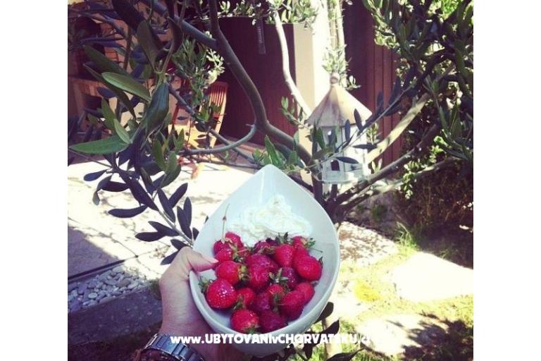 Apartment Dujmovic – photo 4
