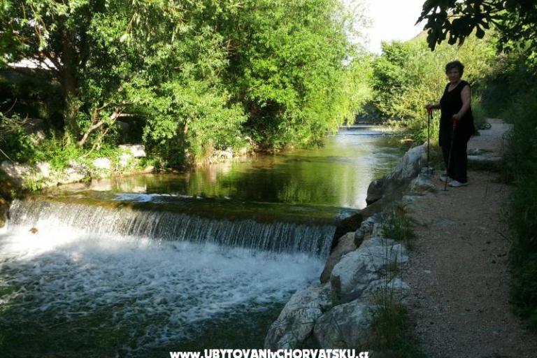 Whole house &amp; garden only for you – photo 13