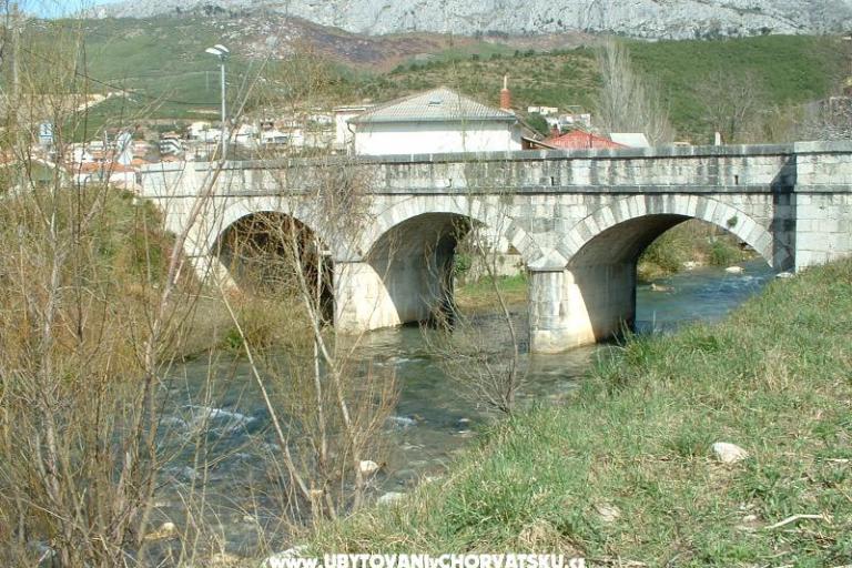 Whole house &amp; garden only for you – photo 17