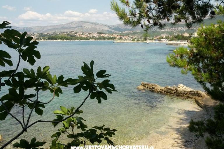 Whole house &amp; garden only for you – photo 4