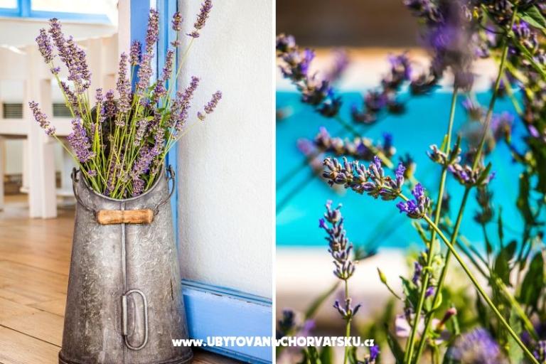 Villa Romansa- 22 km from Split – photo 7