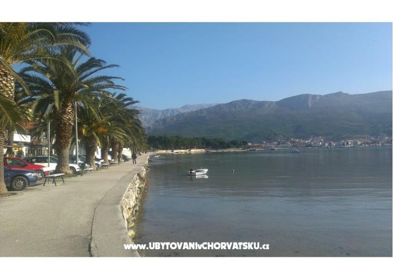 Villa Vitality - near beach – photo 12