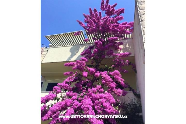 Vila Marijana – photo 6