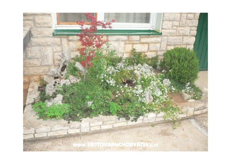 Vacation house Goga – photo 4