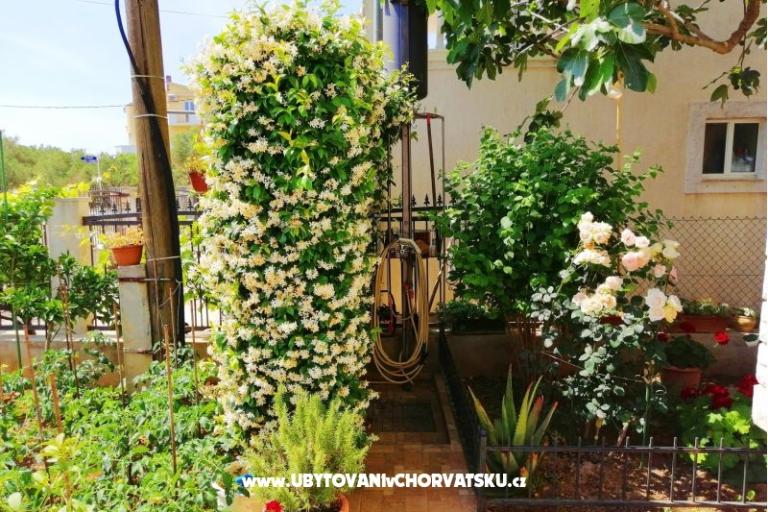 Apartments Brković – photo 8