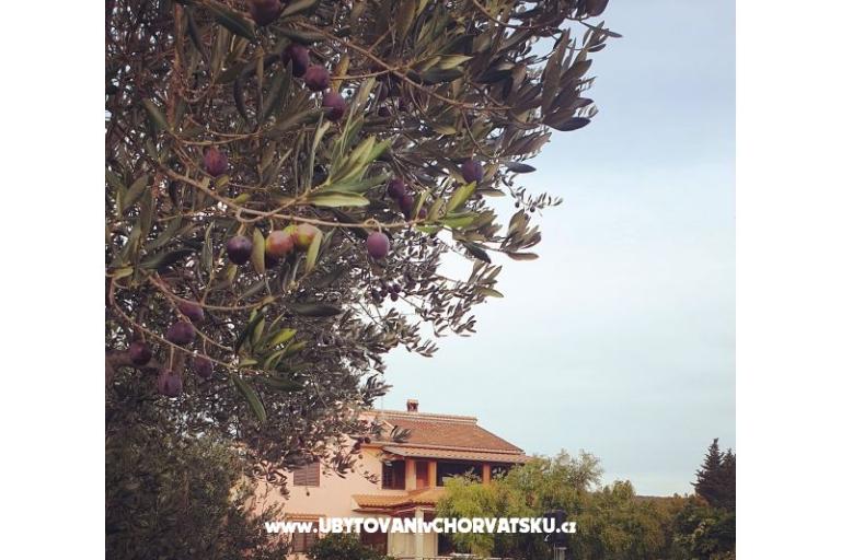 Apartments DARIO - Sukošan – photo 14