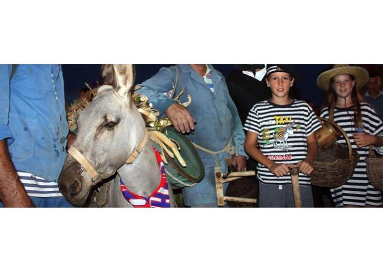 Apartments Gašparović – photo 13