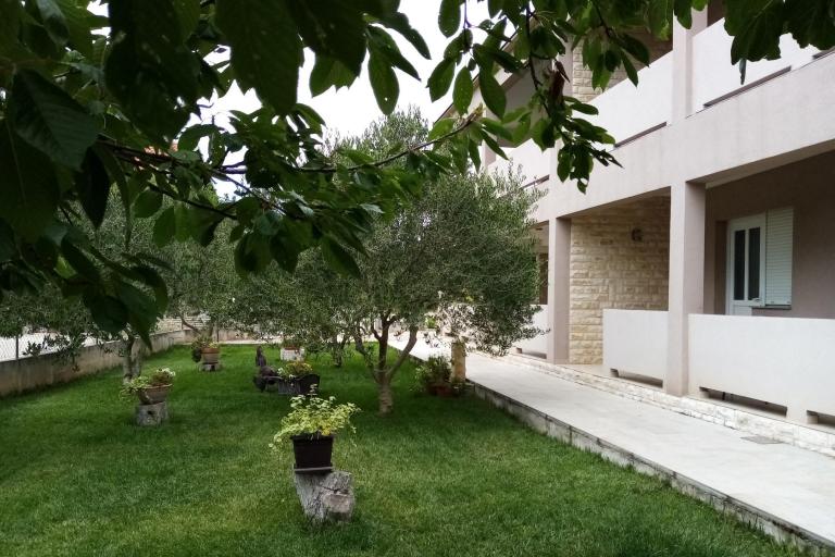 Apartments Lara – photo 2