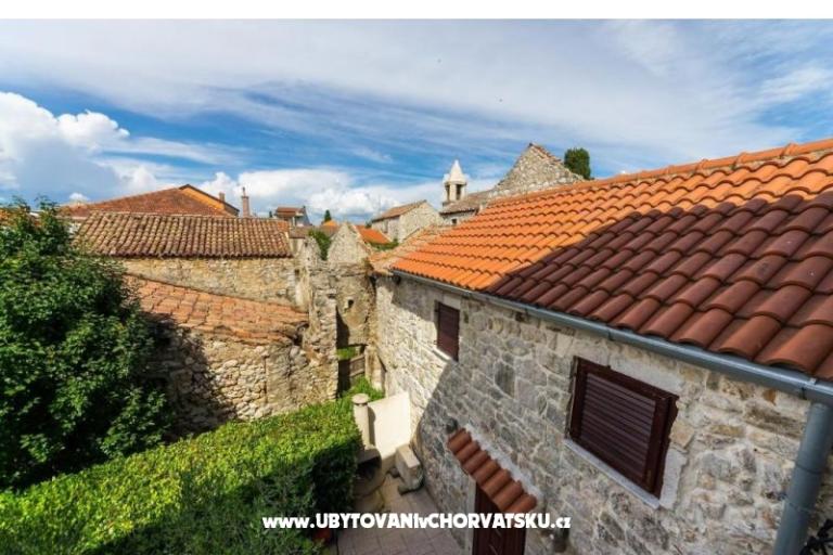 Holiday House More  – photo 8