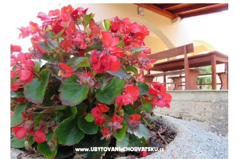 Vacation house Dević – photo 15