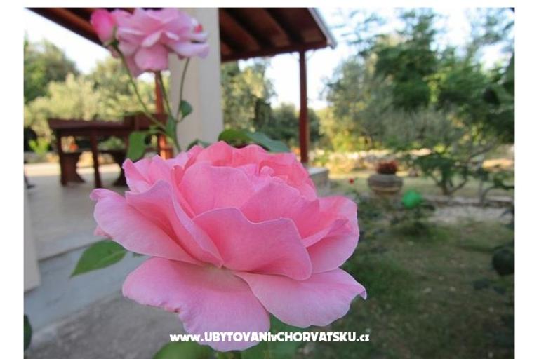 Vacation house Dević – photo 2