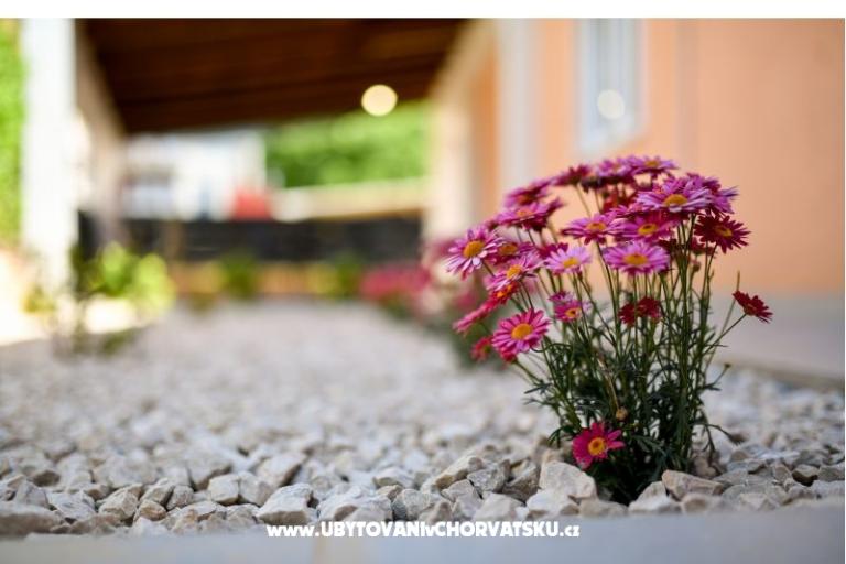 Vacation house Magdalena – photo 17