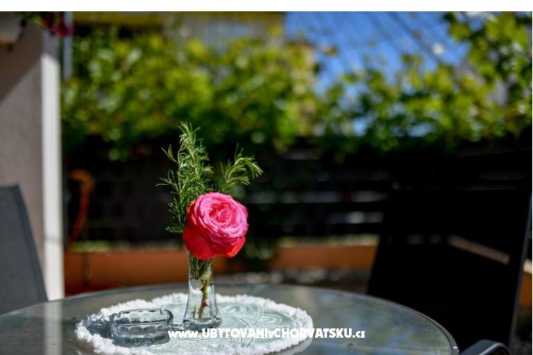 Vacation house Magdalena – photo 22