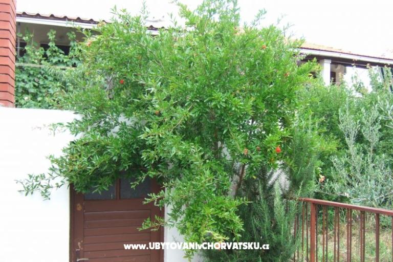 Apartment Lenka – photo 5